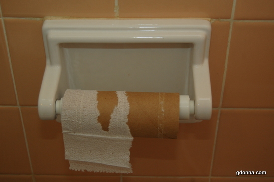 Who needs toilet paper anyway